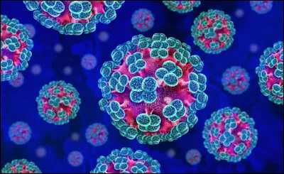Quel est le nom du virus qui a fait son apparition sur un bateau de croisi&egrave;re d&eacute;but mai ?