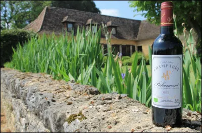 Le P&eacute;charmant est un vin produit au nord de P&eacute;rigueux.
