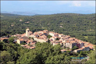 Le festival de Ramatuelle, cr&eacute;&eacute; par Jean-Claude Brialy, est consacr&eacute; &agrave; la photo.