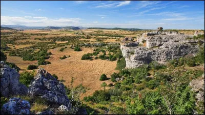 Un causse est un plateau karstique fortement &eacute;rod&eacute;.
