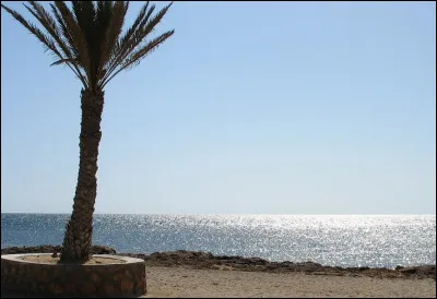 Ile de la mer M&eacute;diterran&eacute;e - Territoire pass&eacute; successivement sous domination vandale, byzantine, arabe, ottomane, puis fran&ccedil;aise - Pr&eacute;sence d'une communaut&eacute; juive ancestrale - L'a&eacute;roport international Zarzis