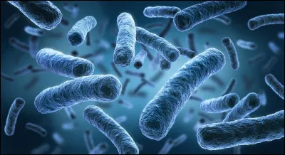 Les bact&eacute;ries sont g&eacute;n&eacute;ralement bien plus grandes que les virus.
