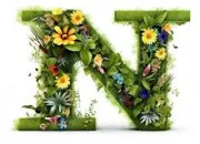 Quiz Géographie en N