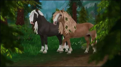 Comment s&rsquo;appelle cette race ?