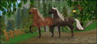 Comment s&rsquo;appelle cette race ?