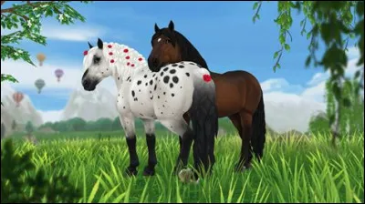 Comment s&rsquo;appelle cette race ?