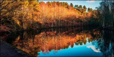 Selon les l&eacute;gendes de Broc&eacute;liande, quel lieu myst&eacute;rieux serait le passage vers le royaume enchant&eacute; de Viviane et des f&eacute;es ?