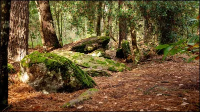 Quel lieu r&eacute;el est aujourd&rsquo;hui consid&eacute;r&eacute; comme la for&ecirc;t l&eacute;gendaire de Broc&eacute;liande ?