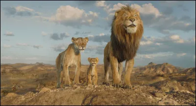 Simba(le roi lion)c quoi comme animal ?