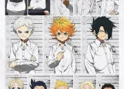 Quiz La taille des personnages dans ''The Promised Neverland''