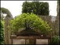 Quelle ville possde l'Arboretum des Bonsas ?