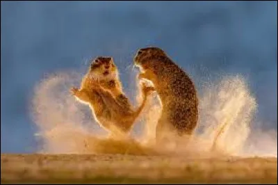 Quel conflit a permis &agrave; l'Allemagne de devenir un &Eacute;tat unifi&eacute; en 1871 ?