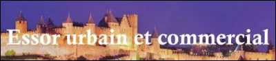 Comme elle d&eacute;veloppe de nouvelles techniques agricoles, la population du Moyen &Acirc;ge (en Europe et en Afrique) augmente du m&ecirc;me coup leurs rendements. Alors, ils ont plus de nourriture, ce qui fait que les gens sont en meilleure sant&eacute; et qu'il y a moins de morts et plus de natalit&eacute;s. Bref, il y a une...