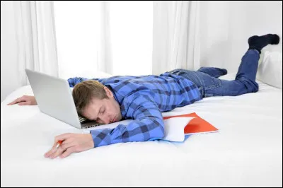 Aimes-tu faire la sieste ?