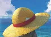 Test Votre chapeau de ''One Piece'' en fonction de votre mois de naissance