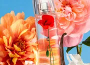 Test Quelle fleur magique représentes-tu ?