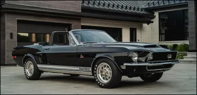 Ah, le cobra royal&hellip; Un animal majestueux qui fascine autant qu'il terrifie. Quand je regarde cette voiture, je ne vois rien d'agile, mais plut&ocirc;t une b&ecirc;te f&eacute;roce pr&ecirc;te &agrave; tout d&eacute;vorer sur son passage. Quel nom porte ce mod&egrave;le ?