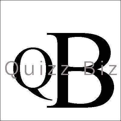 Quelle est l'enseigne ou la marque dtourne ?