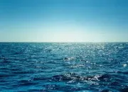 Quiz Vrai ou faux sur les océans ?