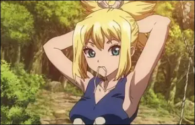 K : Kohaku de "Dr Stone".&Agrave; quoi Chrome la compare-t-elle souvent ?