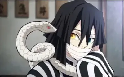 O : Obanai de "Demon Slayer".Comment s'appelle son serpent ?