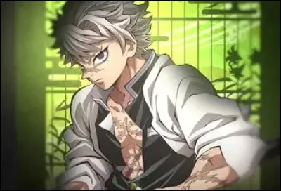 S : Sanemi de "Demon Slayer".Quel Souffle maitrise-t-il ?