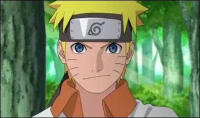 U : Uzumaki de "Naruto".Qui, parmi ces personnages, est un Uzumaki ?