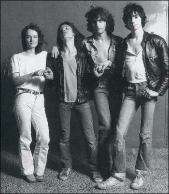 Quel groupe est reprsent sur cette photo ?