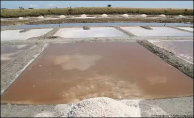 Quel est le nom de la fine couche de cristaux blancs qui se forme &agrave; la surface des marais salants ?