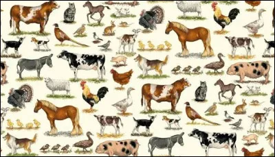 Quel animal d'&eacute;levage est le plus consomm&eacute; au monde ?