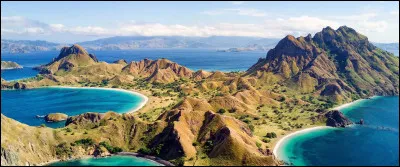 Quel animal vit en grand nombre du l&rsquo;&icirc;le de Komodo ?