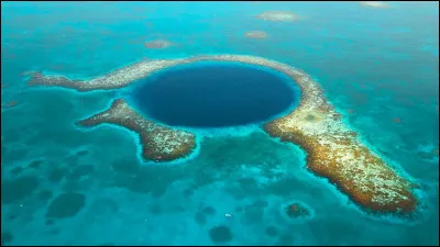 Quel est le nom de ce type d'&icirc;le corallienne basse des oc&eacute;ans tropicaux ?