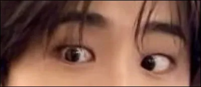 &Agrave; qui appartiennent ces yeux ?