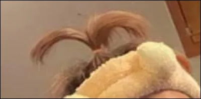 &Agrave; qui appartient cette "magnifique coiffure" ?