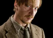 Quiz Remus Lupin