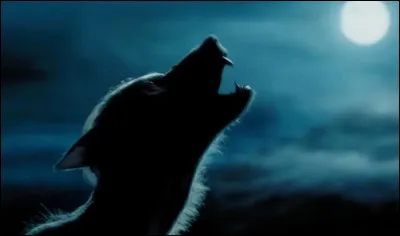 Comment est-il devenu un loup-garou ?