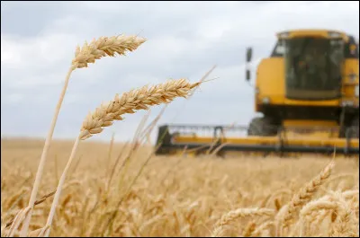 Combien de millions de tonnes de bl&eacute; l'Ukraine a-t-elle produites en 2025 ?