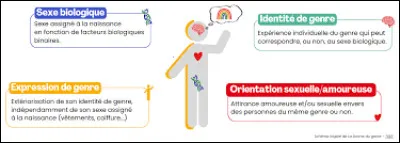Qu'est-ce que l&rsquo;identit&eacute; de genre ?