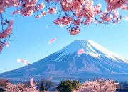 Quiz 1 mois, 1 pays : le Japon
