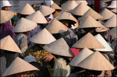 Qu&rsquo;ils soient appel&eacute;s n&oacute;n l&aacute;, dǒul&igrave; ou encore kasa, ces chapeaux sont des incontournables de l&rsquo;Asie de l&rsquo;est et du sud-est. Mais quel est leur point commun ?