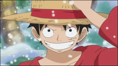 Dans quel anim&eacute; japonais peut-on retrouver Luffy au chapeau de paille ?