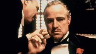 LE PARRAIN - Quel est le nom de la famille, constituant une organisation criminelle appartenant &agrave; la mafia am&eacute;ricaine, dont le chef est "le Parrain" ?