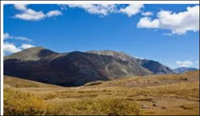 Lequel de ces papillons vit dans le d&eacute;sert ?