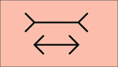 Dans l'illusion de M&uuml;ller-Lyer, pourquoi deux segments de m&ecirc;me longueur semblent diff&eacute;rents ?