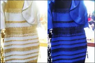 Dans l'illusion de la robe (bleue/noire ou blanche/dor&eacute;e), qu'est‑ce qui varie entre les personnes ?