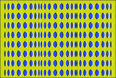 Pourquoi l'illusion de la "main en caoutchouc" fonctionne-t-elle ?