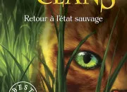 Quiz LGDC cycle 1 : les couvertures et les personnages sur les tomes
