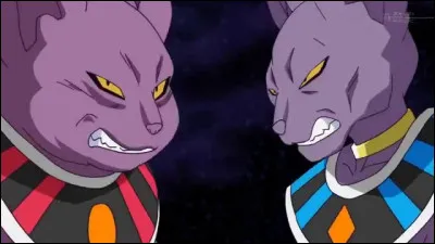 Quel est le lien entre Beerus et Champa ?