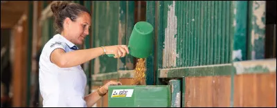Si le cheval n'a pas mang&eacute; sa ration du repas pr&eacute;c&eacute;dent, que faut-il faire ?