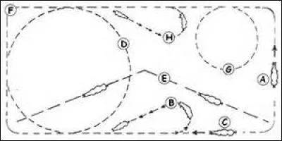 Quel est le point commun entre la diagonale, la demi-volte et la demi-volte renvers&eacute;e ?